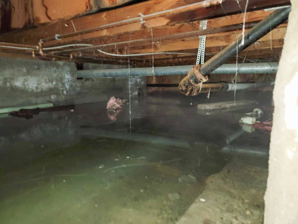 Best Local water damage restoration  in Lyman, MS